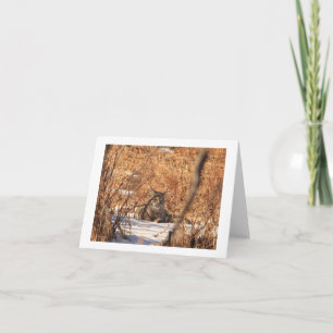 Tarjeta Notecard del lince