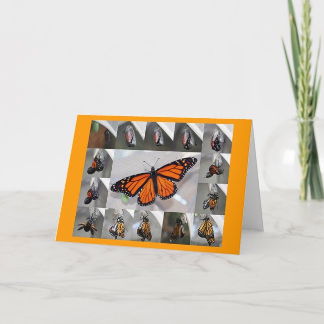 Tarjeta Notecard del monarca (Anverso)