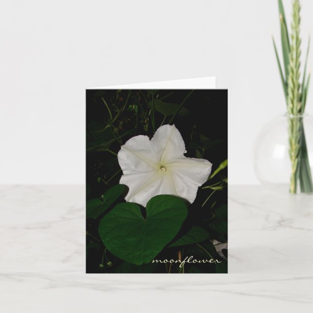 Tarjeta notecard del moonflower (Anverso)