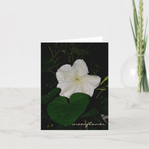 Tarjeta notecard del moonflower