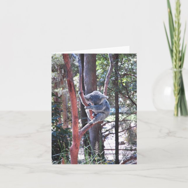 Tarjeta ~ Notecard del oso de koala el dormir (Anverso)
