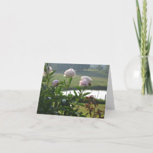 Tarjeta Notecard del Peony