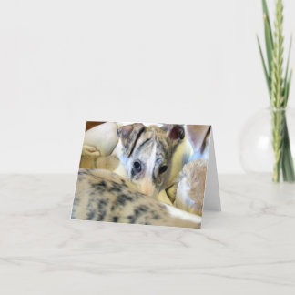 Tarjeta Notecard del perrito de Whippet