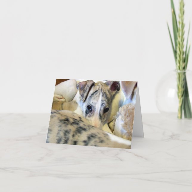 Tarjeta Notecard del perrito de Whippet (Anverso)