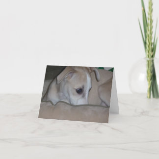 Tarjeta Notecard del perrito de Whippet