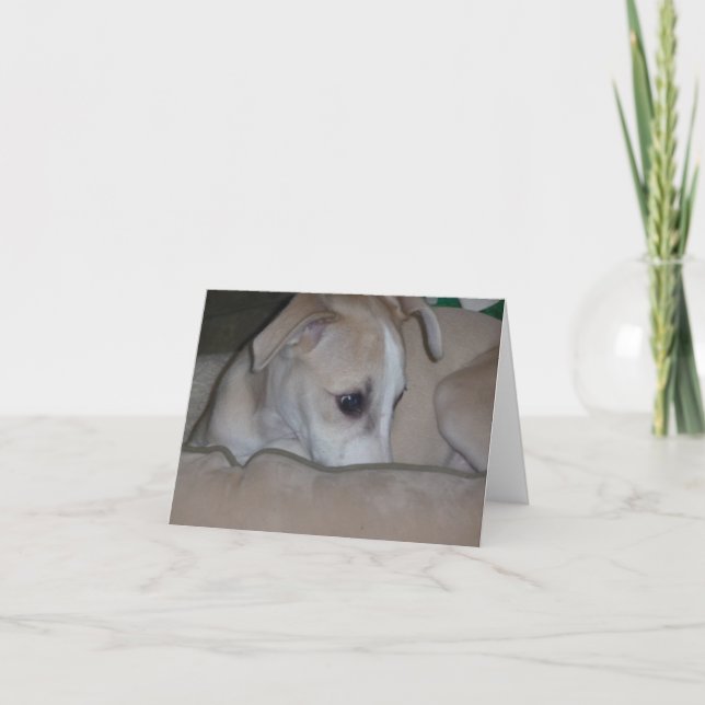 Tarjeta Notecard del perrito de Whippet (Anverso)