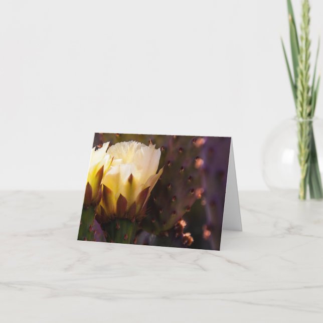 Tarjeta Notecard en blanco alegre (Anverso)