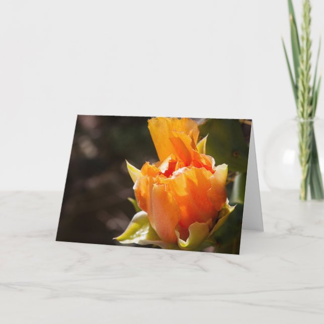 Tarjeta Notecard en blanco alegre (Anverso)
