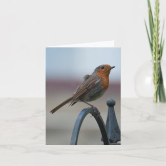 Tarjeta Notecard en blanco con el petirrojo británico