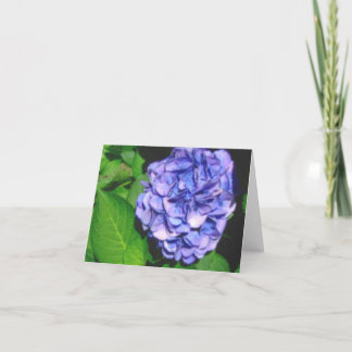 Tarjeta notecard en colores pastel del hydrangea