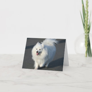 Tarjeta Notecard esquimal americano
