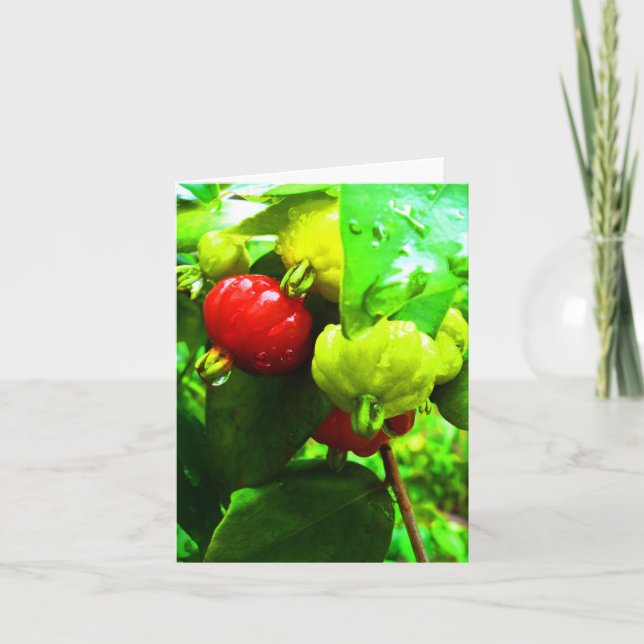 Tarjeta Notecard-Food/Drink-111 (Anverso)