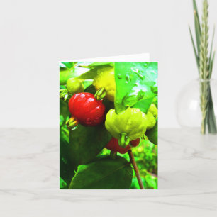 Tarjeta Notecard-Food/Drink-111