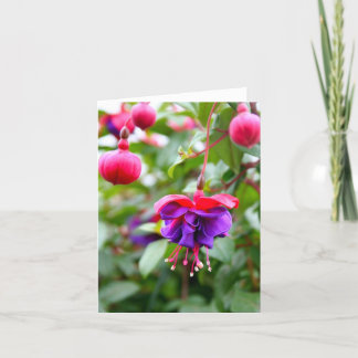 Tarjeta Notecard Fuschia