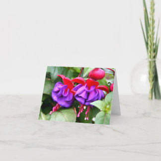 Tarjeta Notecard Fuschia