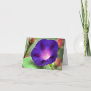 Tarjeta Notecard - Gloria de la mañana