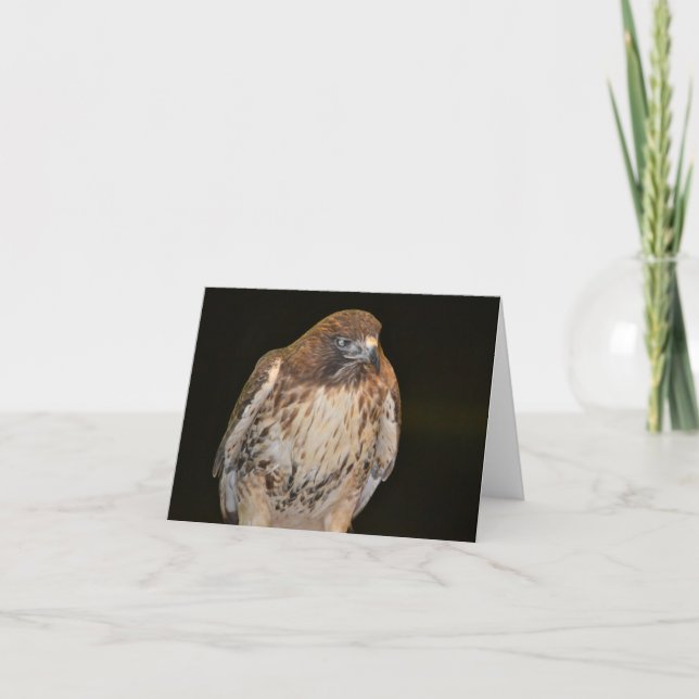 Tarjeta Notecard Hawk (Anverso)