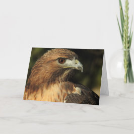 Tarjeta Notecard Hawk con cola roja