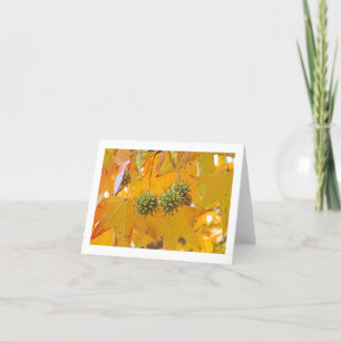 TARJETA NOTECARD "HOJAS DE CAÍDA" (PHTOG)