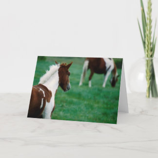 Tarjeta Notecard_Horses en blanco que pasta en verano