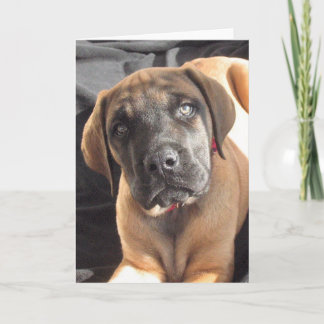 Tarjeta Notecard inglés del perrito del mastín