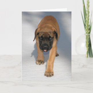Tarjeta Notecard inglés del perrito del mastín