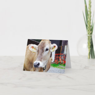 Tarjeta Notecard lindo de la vaca