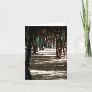 Tarjeta Notecard: Madera de Menorca