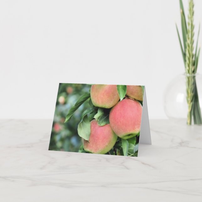 Tarjeta Notecard - manzanas (Anverso)