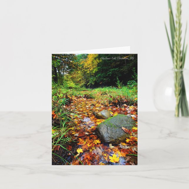 Tarjeta Notecard: Matanza de Alplaus, Charlton, NY (Anverso)