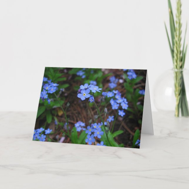 Tarjeta Notecard nómada (Anverso)