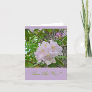 TARJETA NOTECARD, "RHODODENDRON LAVADOR PÁLIDO SUAVE"