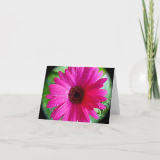 Tarjeta Notecard rosado de la margarita del Gerbera