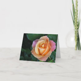 Tarjeta Notecard subió melocotón