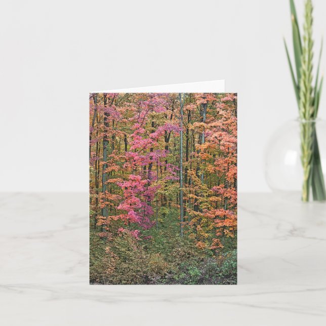 TARJETA NOTECARD "WOODS IN AUTUMN" (Anverso)