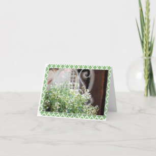 Tarjeta Notecard y sobre en blanco LK de la silla y del