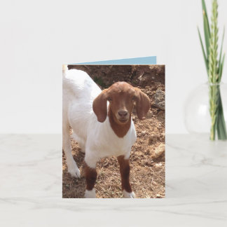 Tarjeta Notecards de la diversión