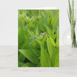 Tarjeta Notecards de la libélula plateada (interior en bla
