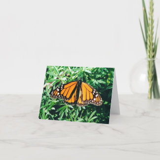 Tarjeta Notecards de la mariposa