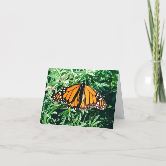 Tarjeta Notecards de la mariposa (Anverso)