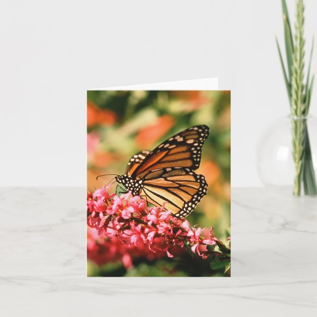 Tarjeta Notecards de la mariposa de monarca (Anverso)