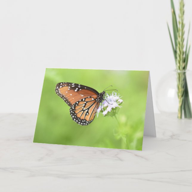 Tarjeta Notecards de mariposa otoñal (interior en blanco) (Anverso)