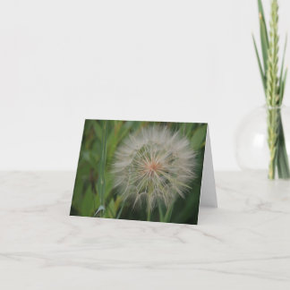 Tarjeta Notecards del diente de león