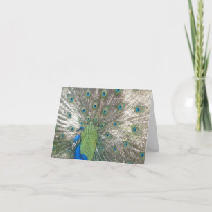 Tarjeta Notecards del pavo real