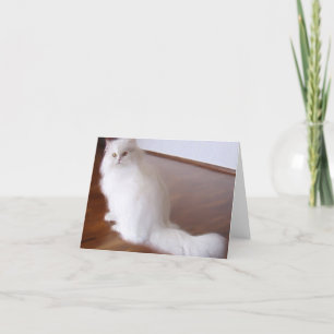 Tarjeta Notecarina de gato blanco persa