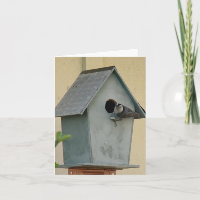 TARJETA NOTECARIO BLANCO DE BIRDHOUSE COMPLETO (Anverso)