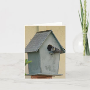 TARJETA NOTECARIO BLANCO DE BIRDHOUSE COMPLETO