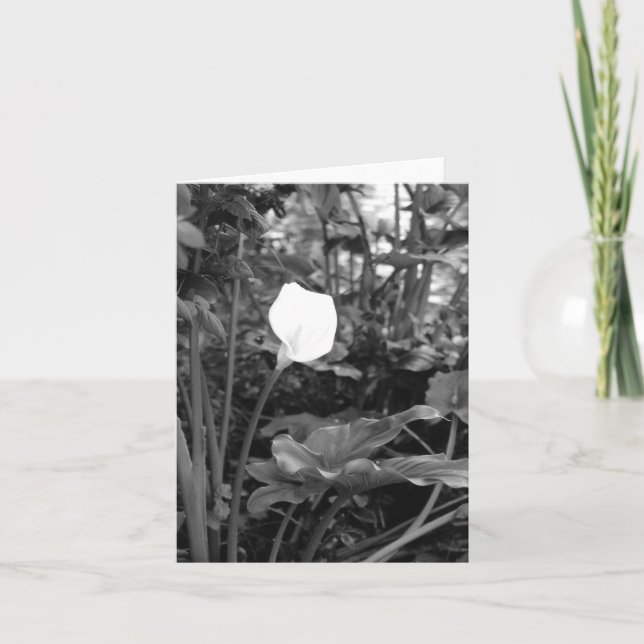 Tarjeta Notecas de Calla Lily (Anverso)