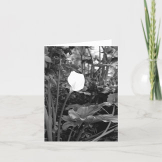 Tarjeta Notecas de Calla Lily