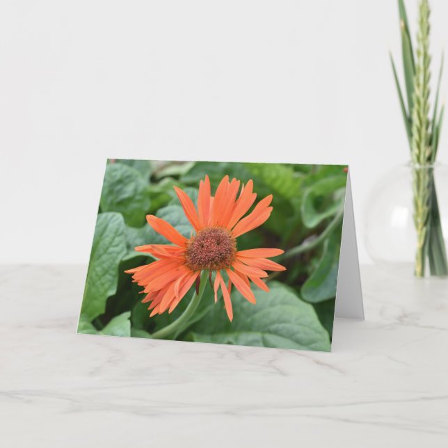 Tarjeta Notecnológicos de flores sonrientes (interior en b (Anverso)